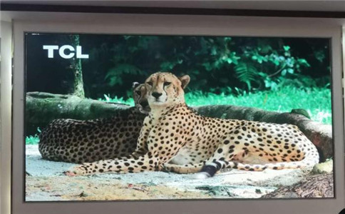 成都室內全彩屏驅動芯片性能怎么樣